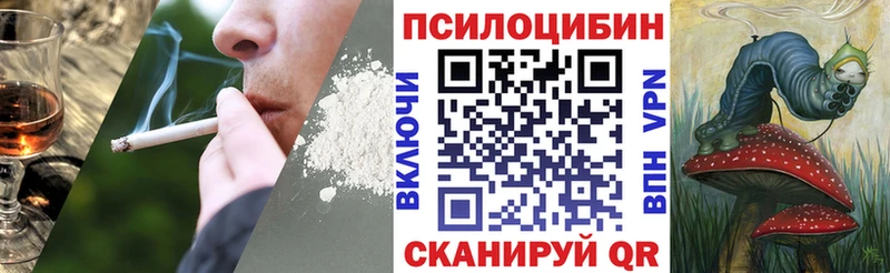 Псилоцибиновые грибы MAGIC MUSHROOMS Бокситогорск