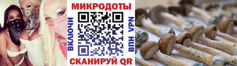 Псилоцибиновые грибы MAGIC MUSHROOMS Бокситогорск